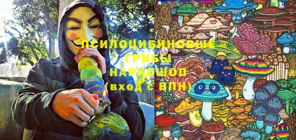 ГАЛЛЮЦИНОГЕННЫЕ ГРИБЫ Беломорск