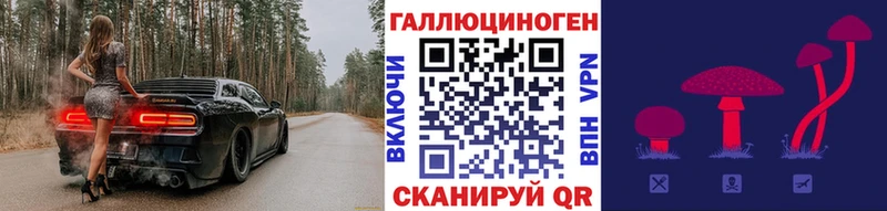 где можно купить   Петрозаводск  Псилоцибиновые грибы Magic Shrooms 